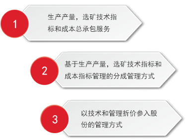 选矿厂技术支持与运营管理